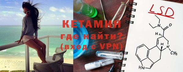сатива Арсеньев