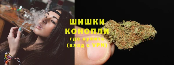 сатива Арсеньев