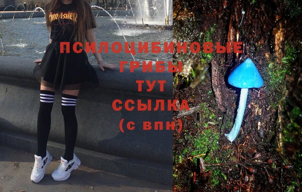 дмт Армянск