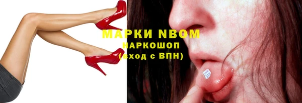 гидра Аркадак