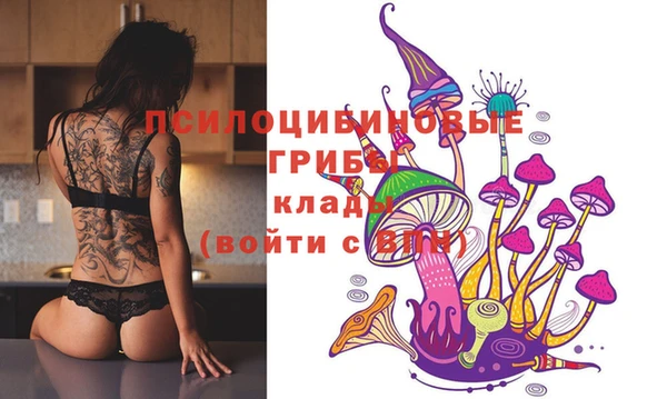 сатива Арсеньев