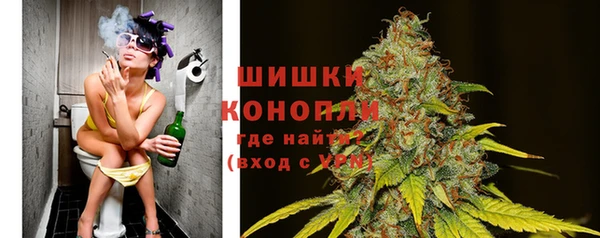 сатива Арсеньев