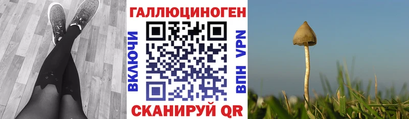 Псилоцибиновые грибы Magic Shrooms  мориарти какой сайт  Саки 